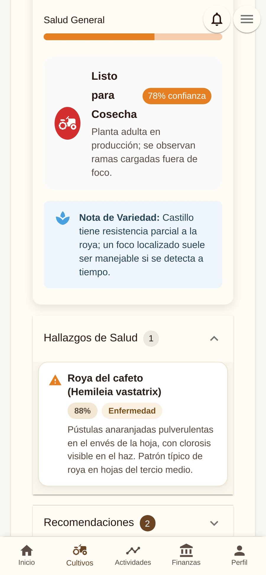 Análisis IA de una foto de hoja con roya en Koffibinz: hallazgos de salud y recomendaciones