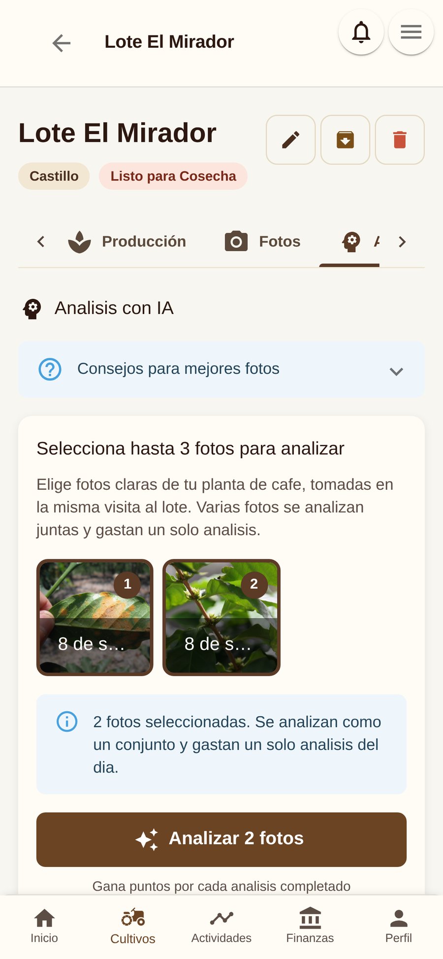 Pestaña Análisis IA del lote en Koffibinz con dos fotos de hojas seleccionadas y el botón Analizar